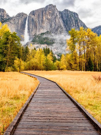 meadow with a boardwalk of Yosemite National Park in the fall